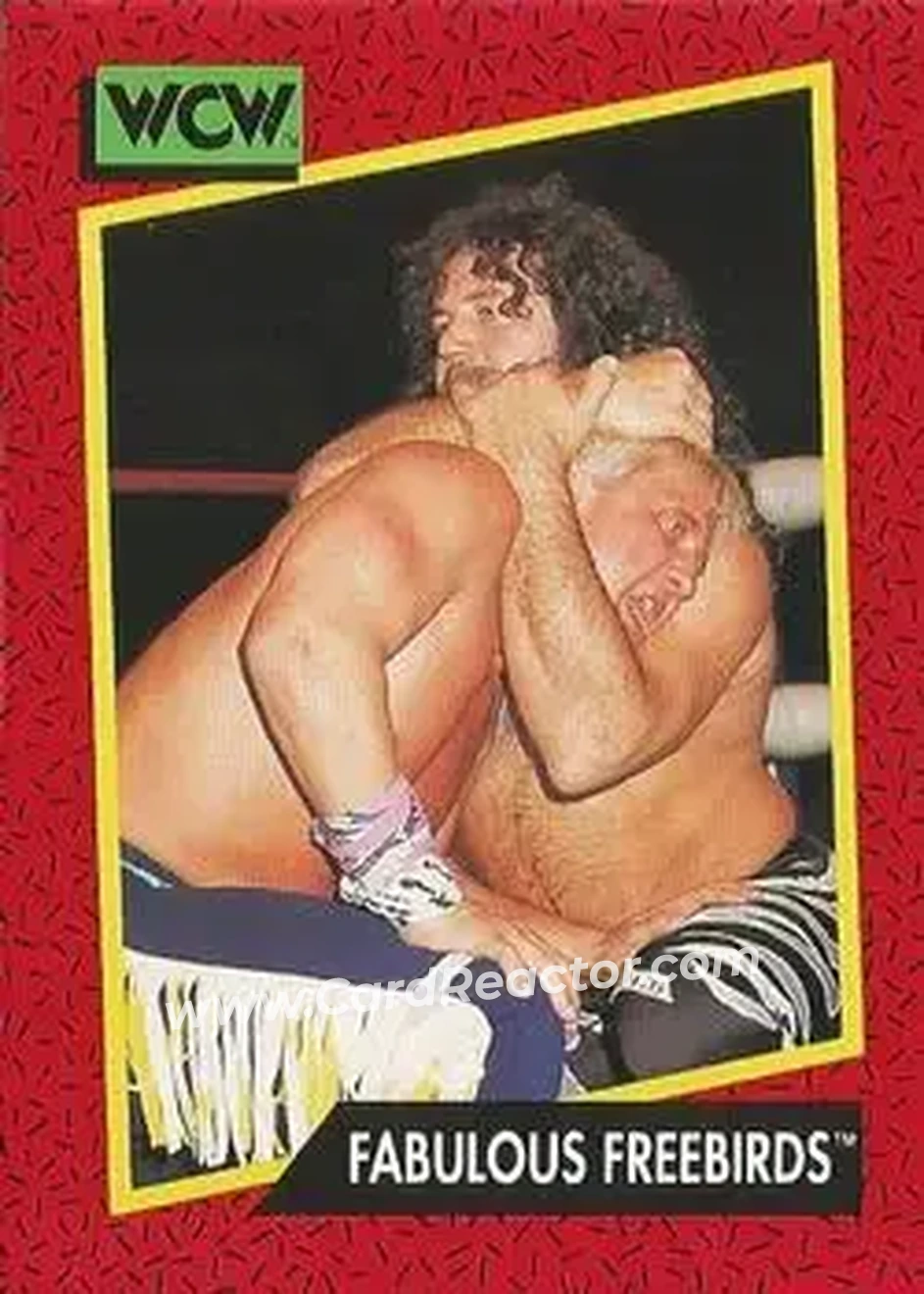 1991 Impel WCW #119 - Card #119