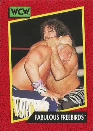 1991 Impel WCW #119 - Card #119