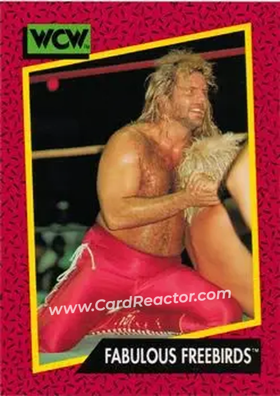 1991 Impel WCW #120 - Card #120