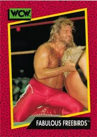 1991 Impel WCW #120 - Card #120