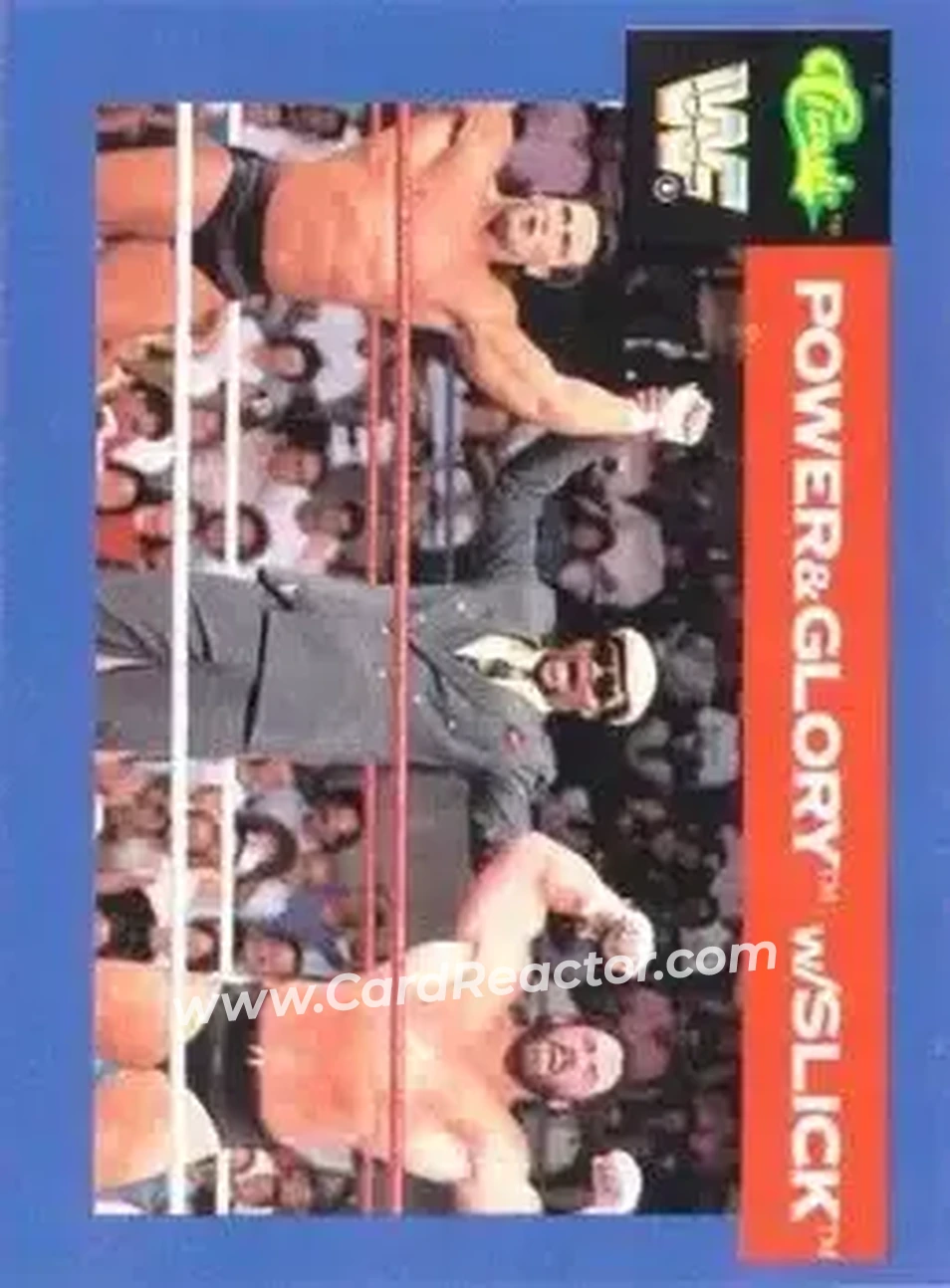 1991 Classic WWF Superstars #117 - Card #117
