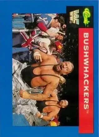 1991 Classic WWF Superstars #119 - The Bushwhackers (Butch & Luke)