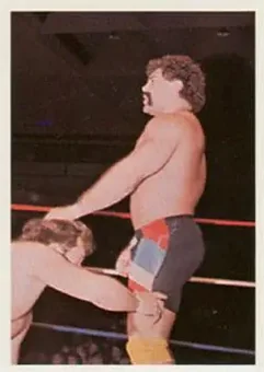 1988 Wonderama NWA #298 - Rick Steiner