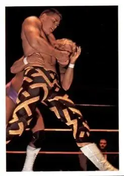 1988 Wonderama NWA #300 - Sean Royal