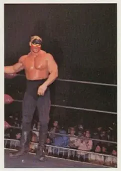 1988 Wonderama NWA #301 - Card #301