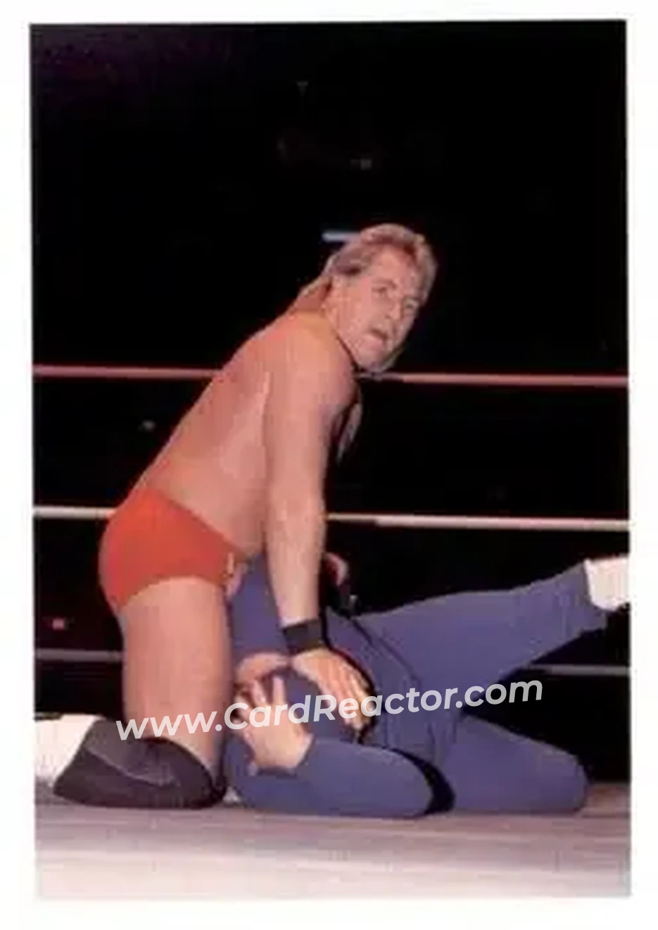 1988 Wonderama NWA #304 - Tim Horner