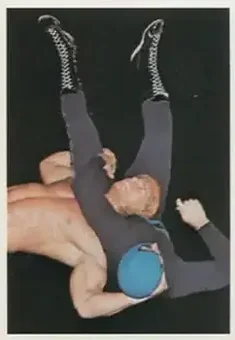 1988 Wonderama NWA #306 - Card #306