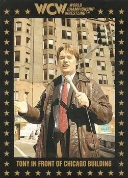 1991 Championship Marketing WCW #101 - Card #101 - Front