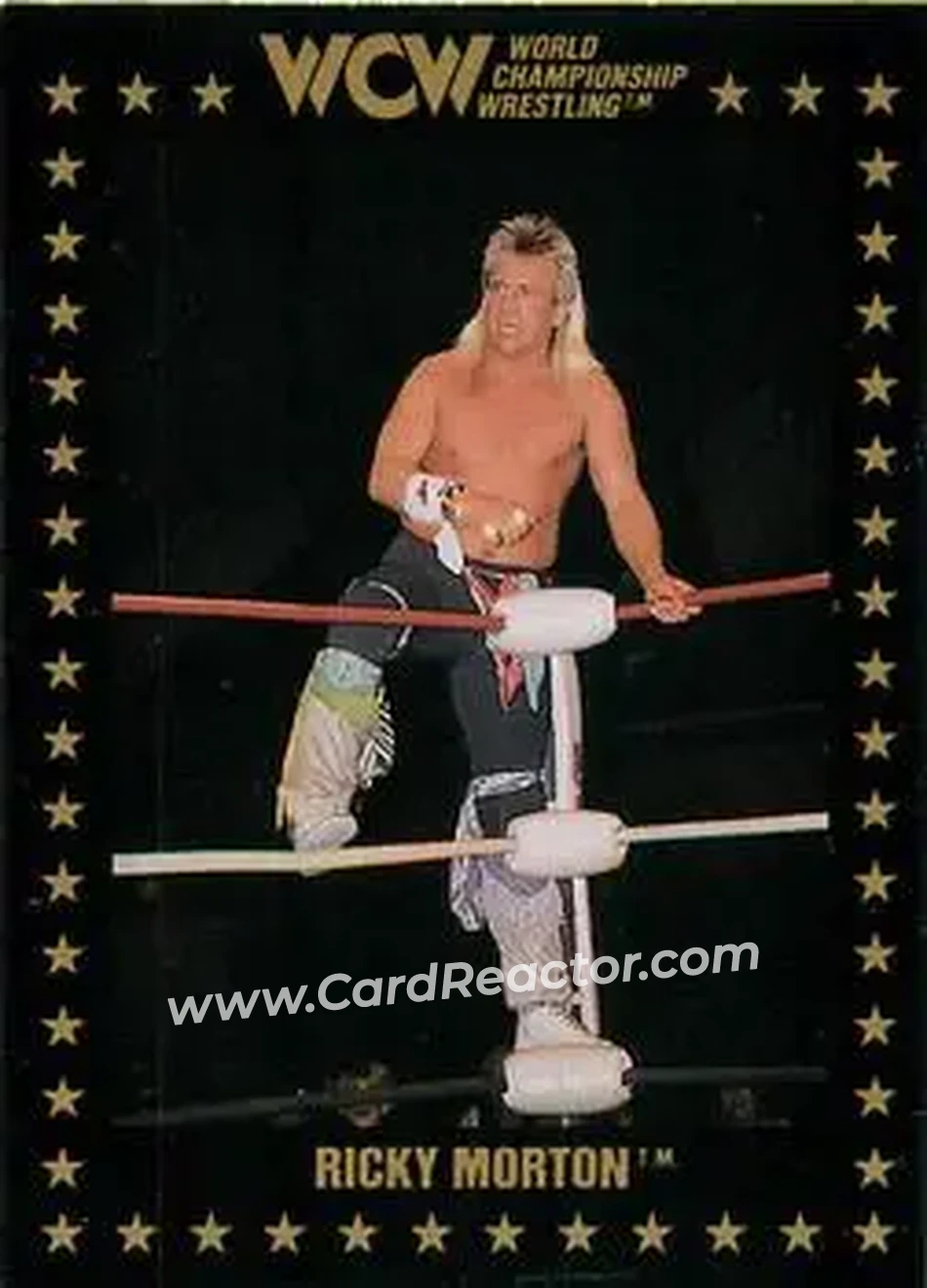 1991 Championship Marketing WCW #102 - Ricky Morton