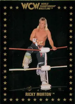 1991 Championship Marketing WCW #102 - Ricky Morton - Front