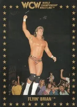 1991 Championship Marketing WCW #103 - Card #103 - Front