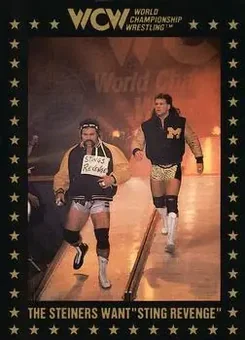 1991 Championship Marketing WCW #104 - Card #104