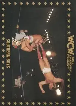 1991 Championship Marketing WCW #106 - Card #106 1991 Championship Marketing WCW #106 - Card #106
