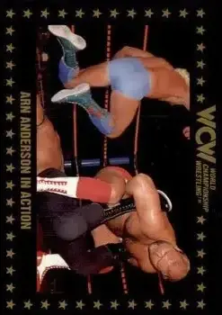 1991 Championship Marketing WCW #108 - Card #108