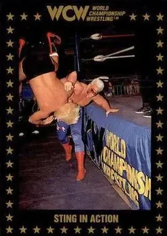 1991 Championship Marketing WCW #109 - Card #109