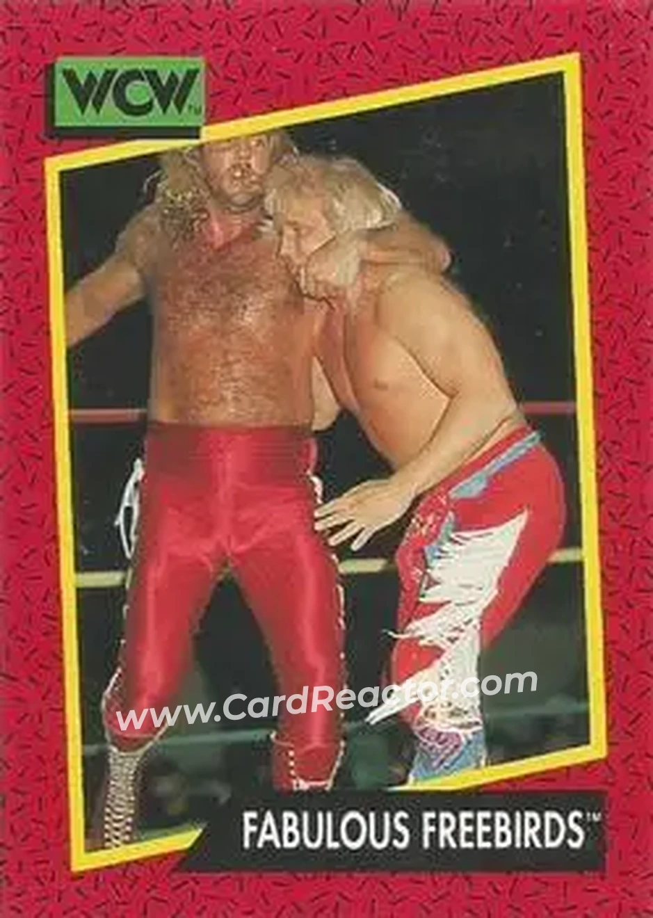 1991 Impel WCW #121 - Card #121