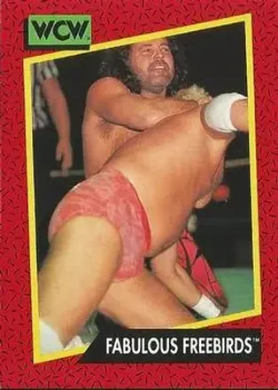 1991 Impel WCW #122 - Card #122