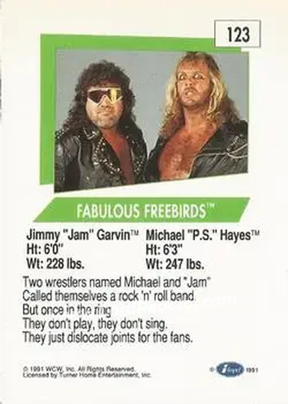 1991 Impel WCW #123 - Card #123 1991 Impel WCW #123 - Card #123
