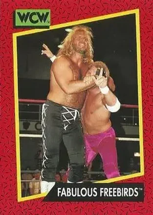 1991 Impel WCW #123 - Card #123