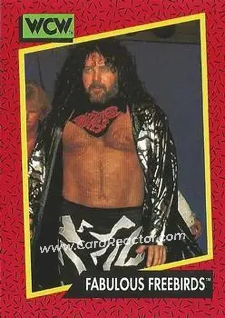 1991 Impel WCW #124 - Card #124