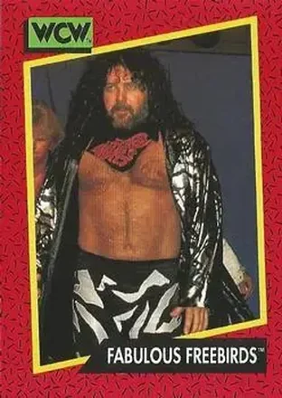 1991 Impel WCW #124 - Card #124