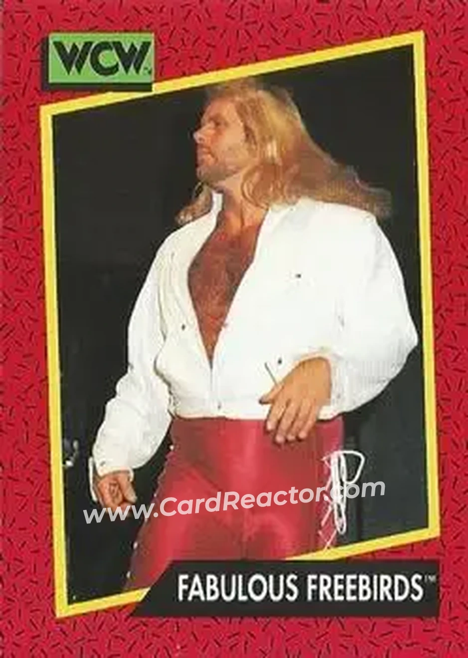 1991 Impel WCW #125 - Card #125