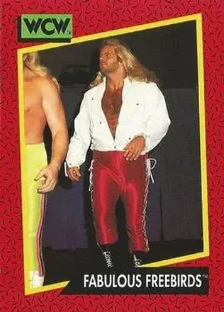 1991 Impel WCW #126 - Card #126