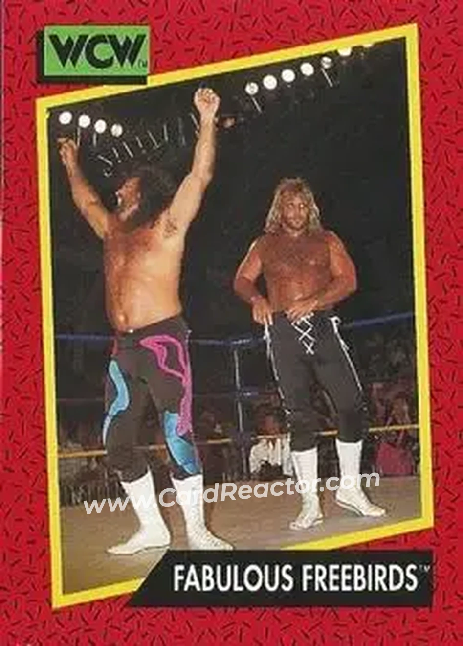 1991 Impel WCW #127 - Card #127
