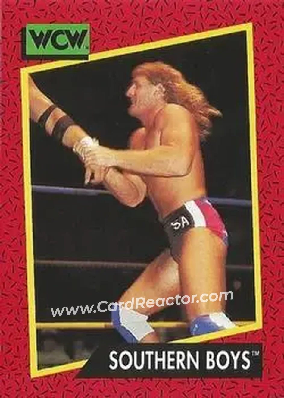 1991 Impel WCW #129 - Card #129