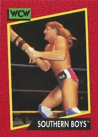 1991 Impel WCW #129 - Card #129