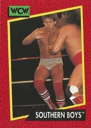 1991 Impel WCW #130 - Card #130