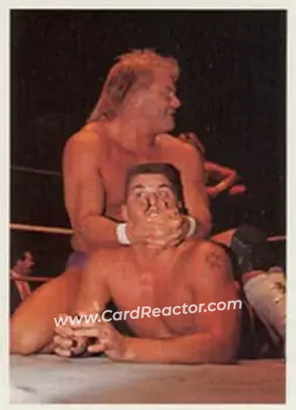 1988 Wonderama NWA #308 - Card #308