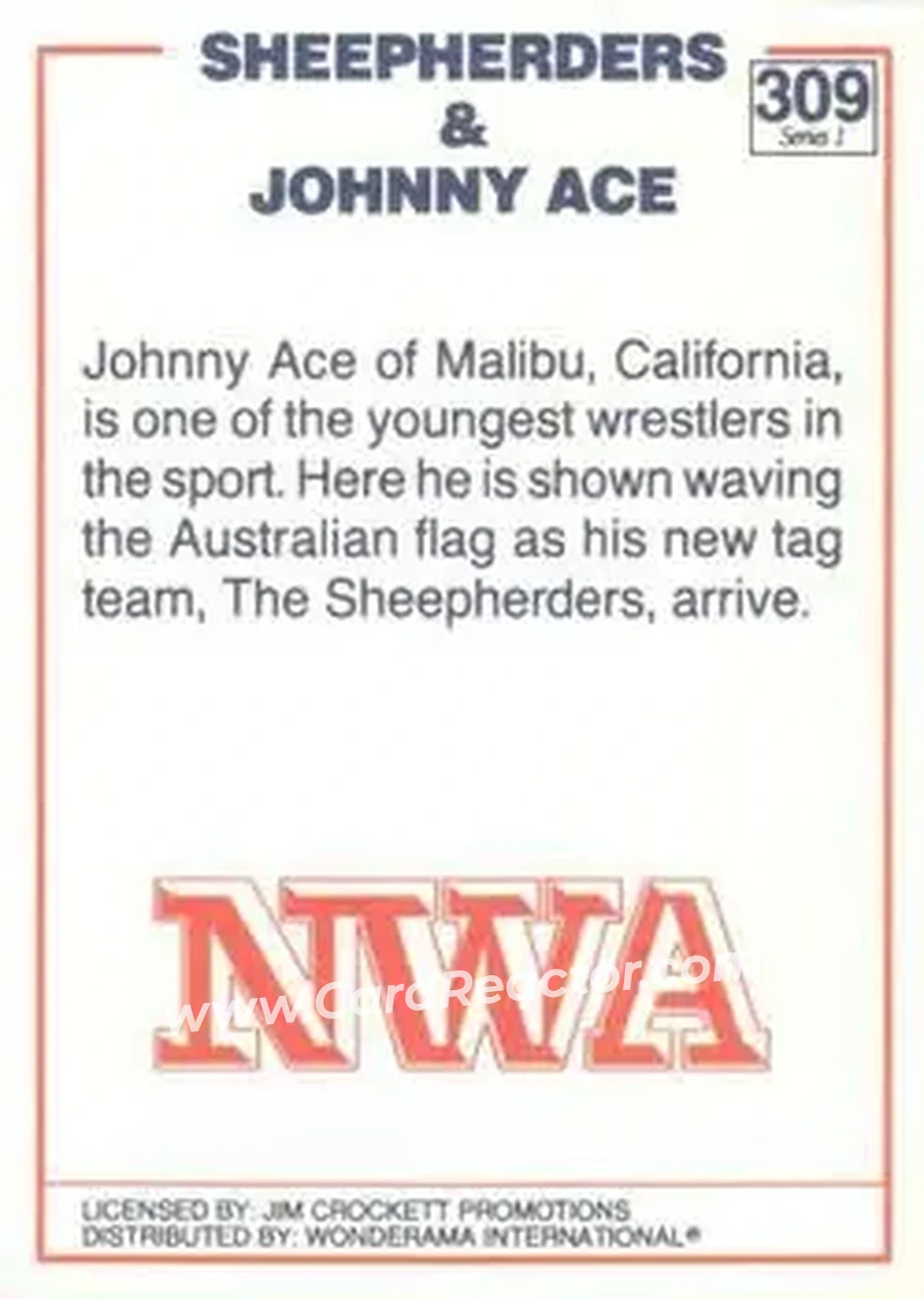 1988 Wonderama NWA #309 - Card #309