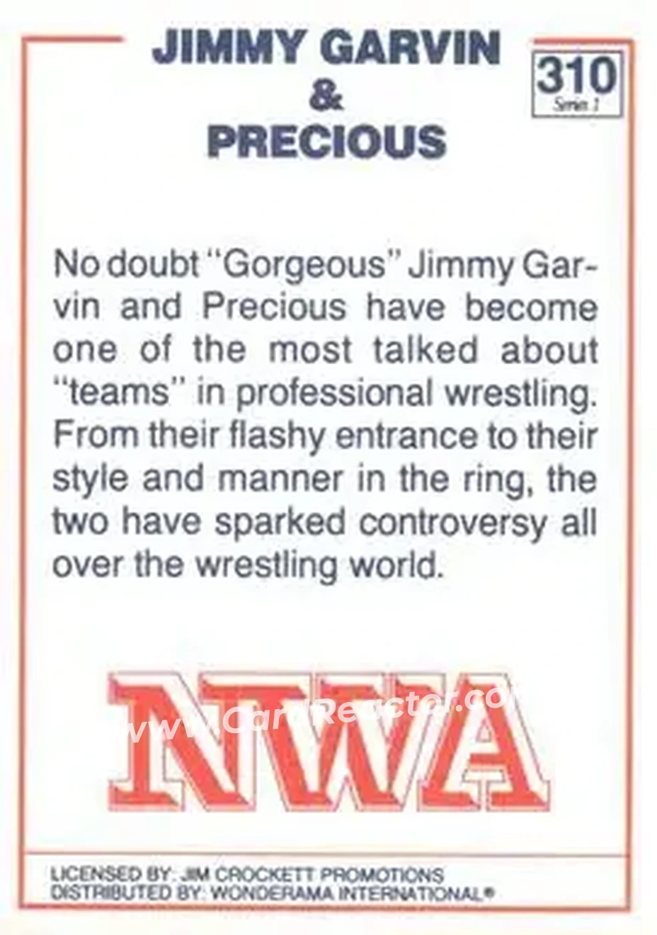 1988 Wonderama NWA #310 - Card #310