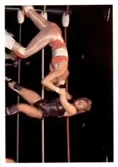 1988 Wonderama NWA #311 - Kat Leroux