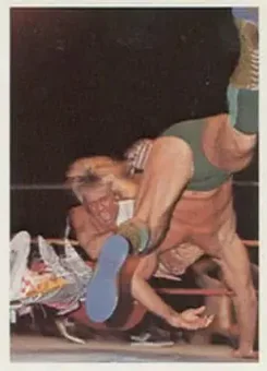 1988 Wonderama NWA #314 - Ricky Morton