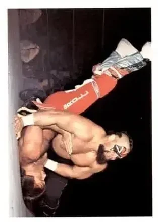1988 Wonderama NWA #315 - Barbarian