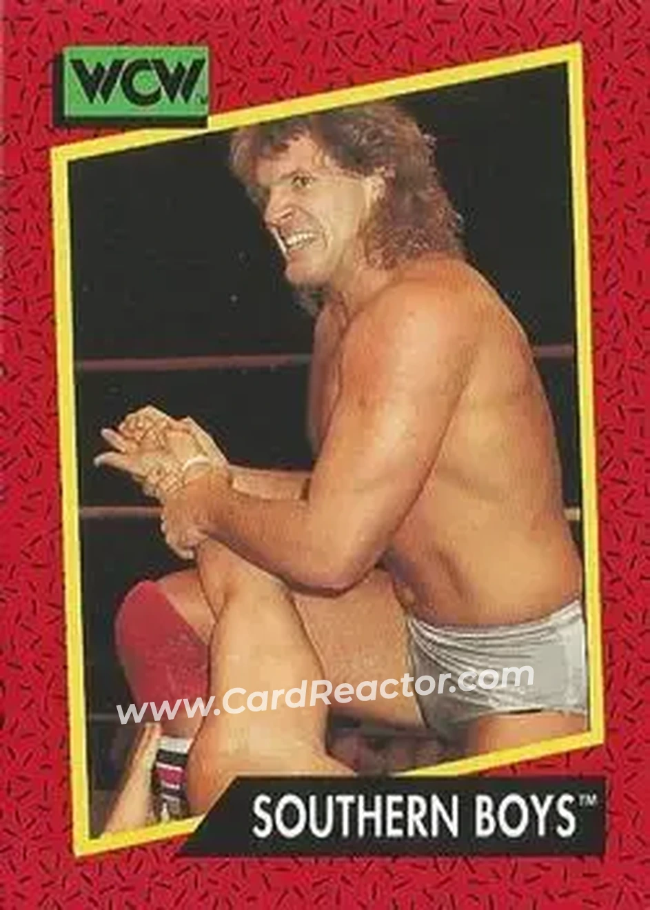 1991 Impel WCW #131 - Card #131 1991 Impel WCW #131 - Card #131