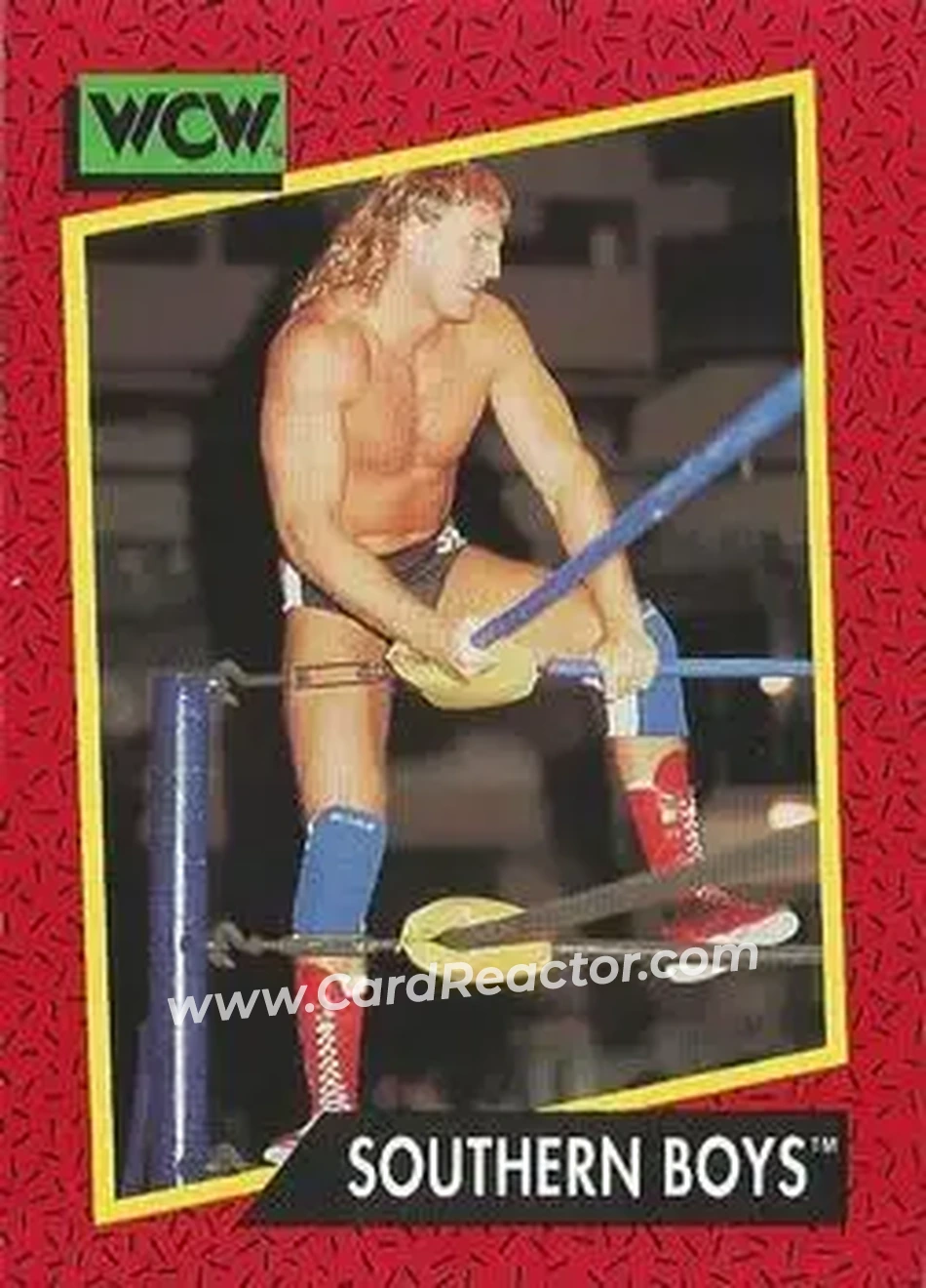 1991 Impel WCW #132 - Card #132 1991 Impel WCW #132 - Card #132