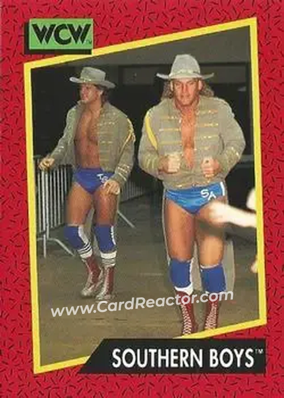 1991 Impel WCW #136 - Card #136