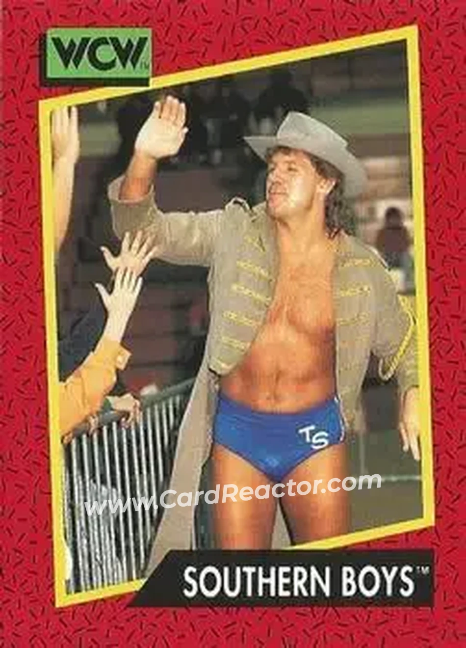 1991 Impel WCW #137 - Card #137
