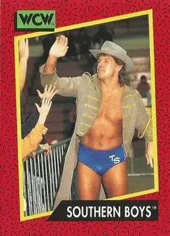1991 Impel WCW #137 - Card #137