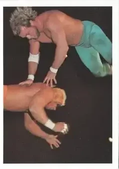 1988 Wonderama NWA #317 - Card #317
