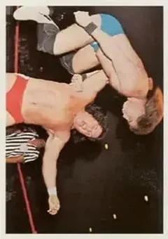 1988 Wonderama NWA #318 - Italian Stallion