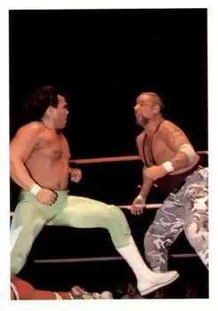 1988 Wonderama NWA #319 - Ricky Santana