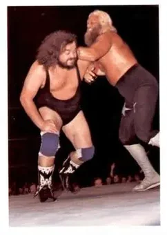 1988 Wonderama NWA #320 - Jimmy Valiant 1988 Wonderama NWA #320 - Jimmy Valiant