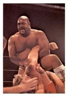 1988 Wonderama NWA #321 - Shaska Whatley
