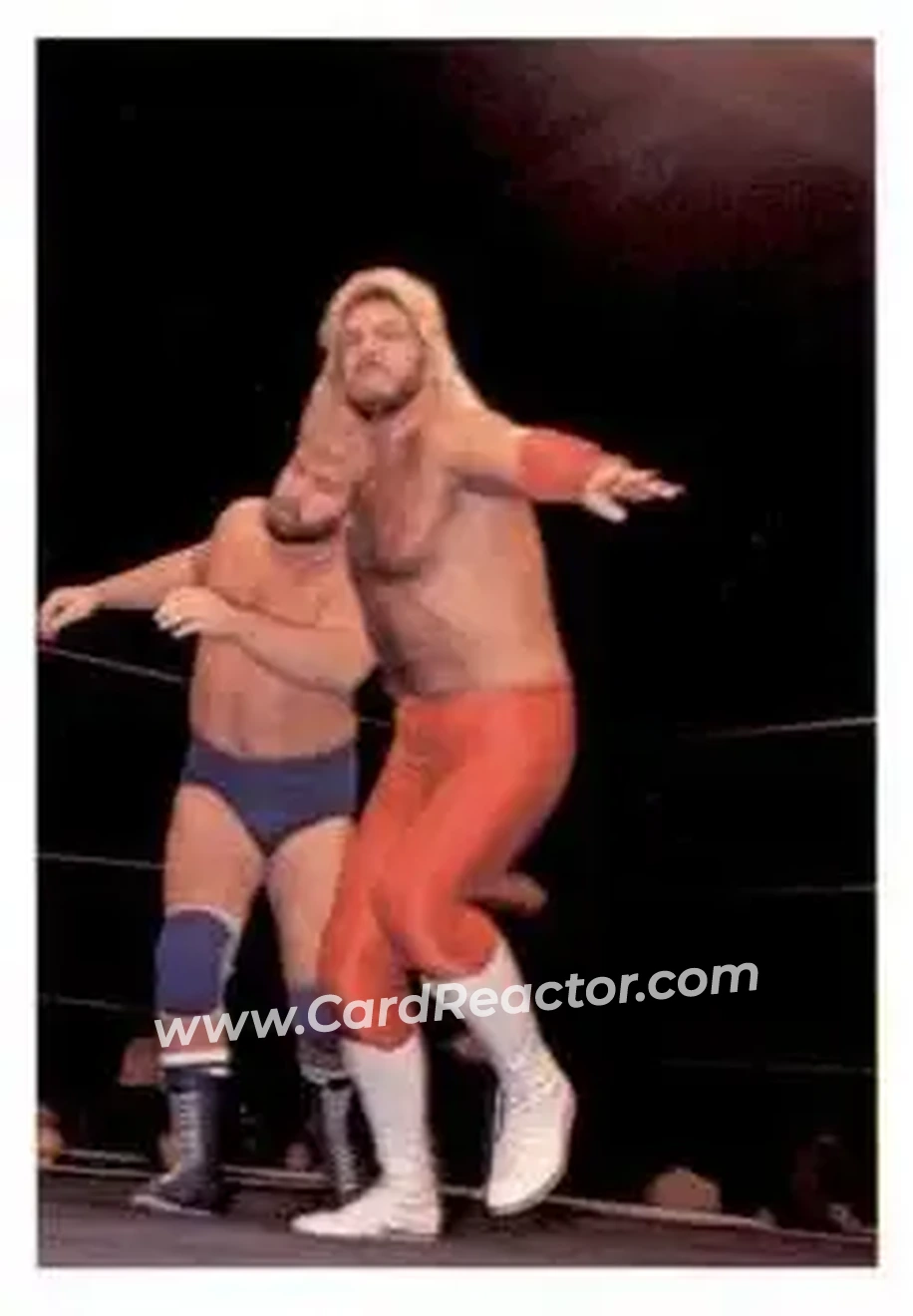 1988 Wonderama NWA #322 - Michael Hayes