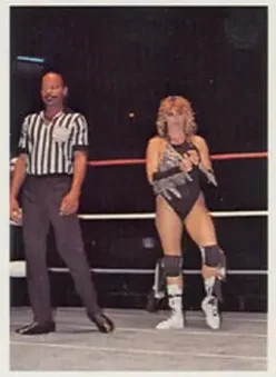 1988 Wonderama NWA #323 - Misty Blue