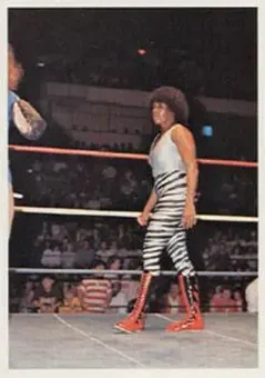 1988 Wonderama NWA #325 - Venus